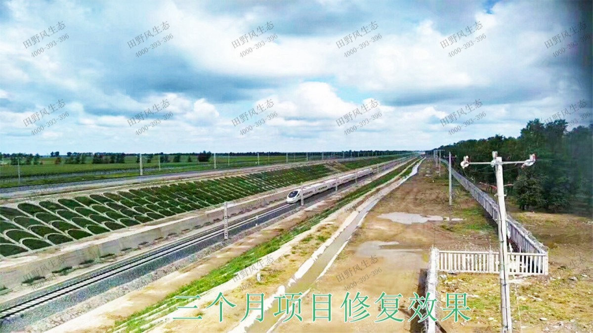 厦深铁路广东段铁路边坡挂网复绿工程
