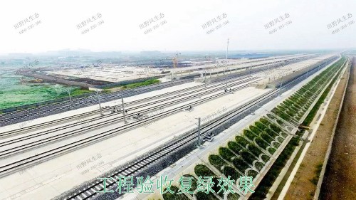 赣深铁路广东段铁路边坡绿化工程