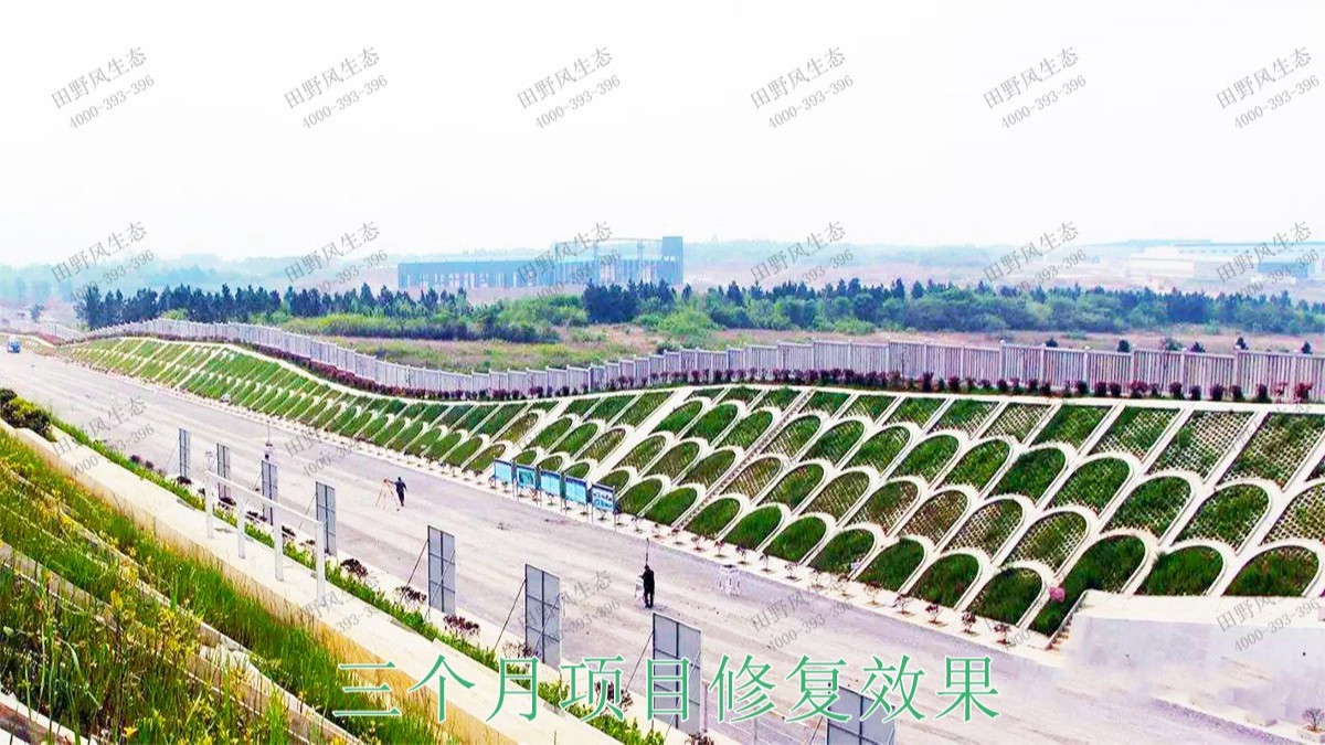 赣深铁路广东段铁路边坡绿化工程