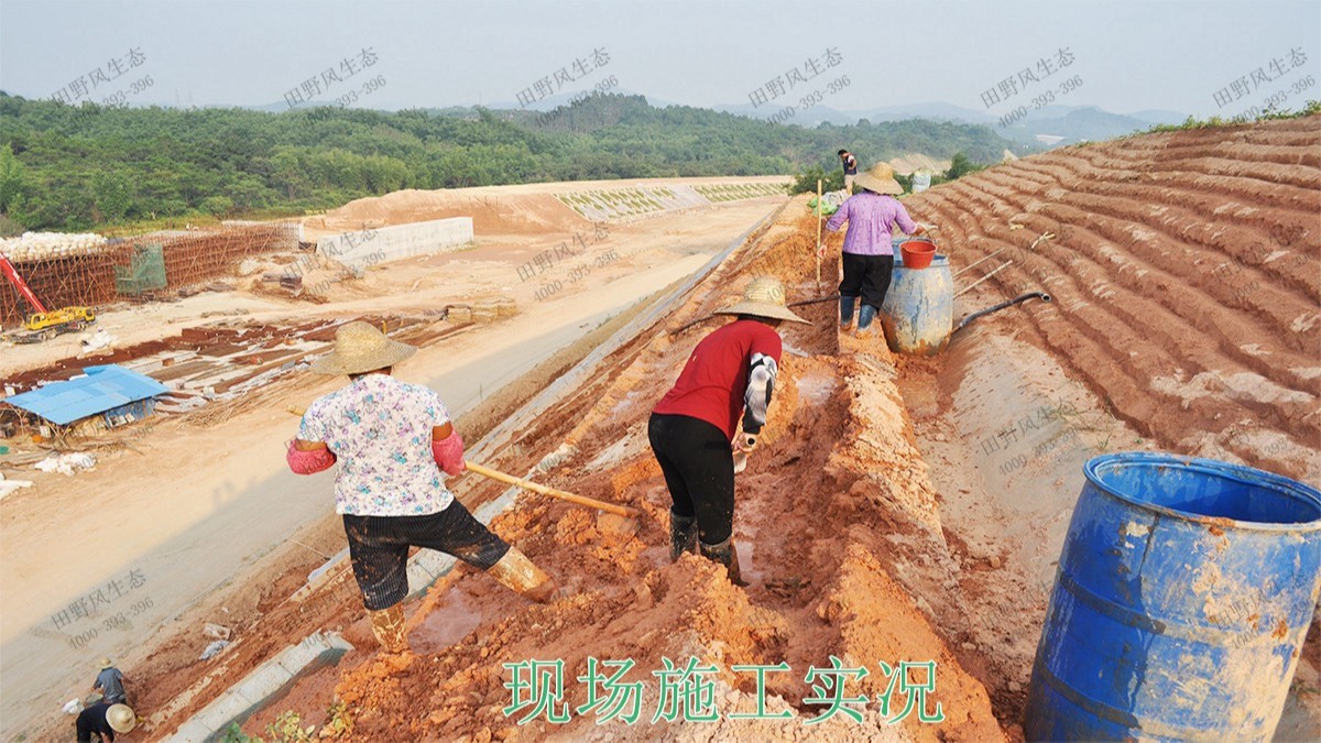 广深港铁路广东段铁路边坡植草工程