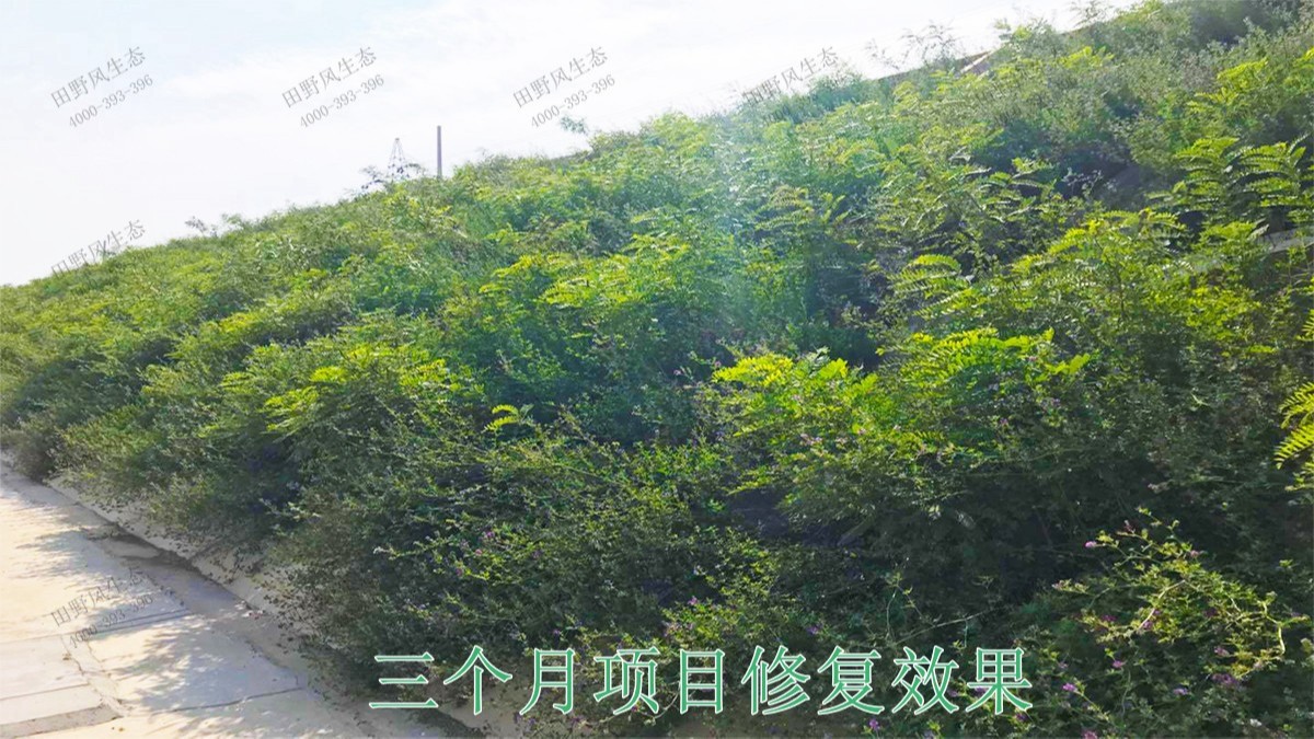 南广铁路广东段铁路边坡挂网喷草工程