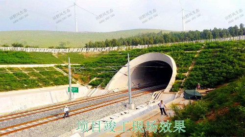 南昆高速铁路广西段铁路边坡绿化工程