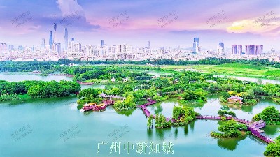 广州中新知城公共绿化养护