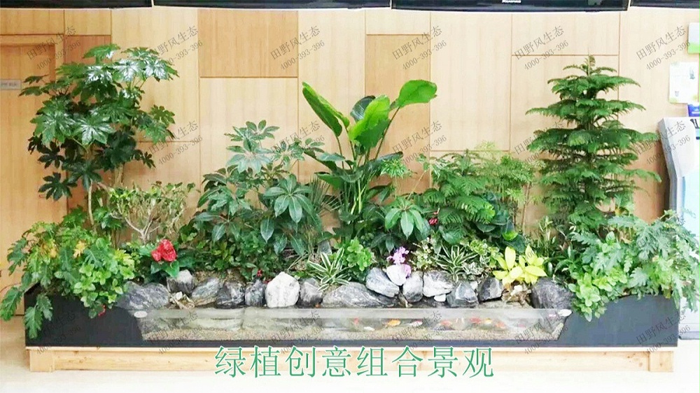 广州中信广场室内植物租赁合作展示