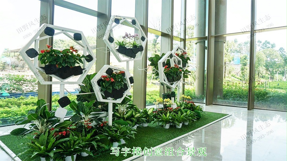 广州中信广场室内植物租赁合作展示