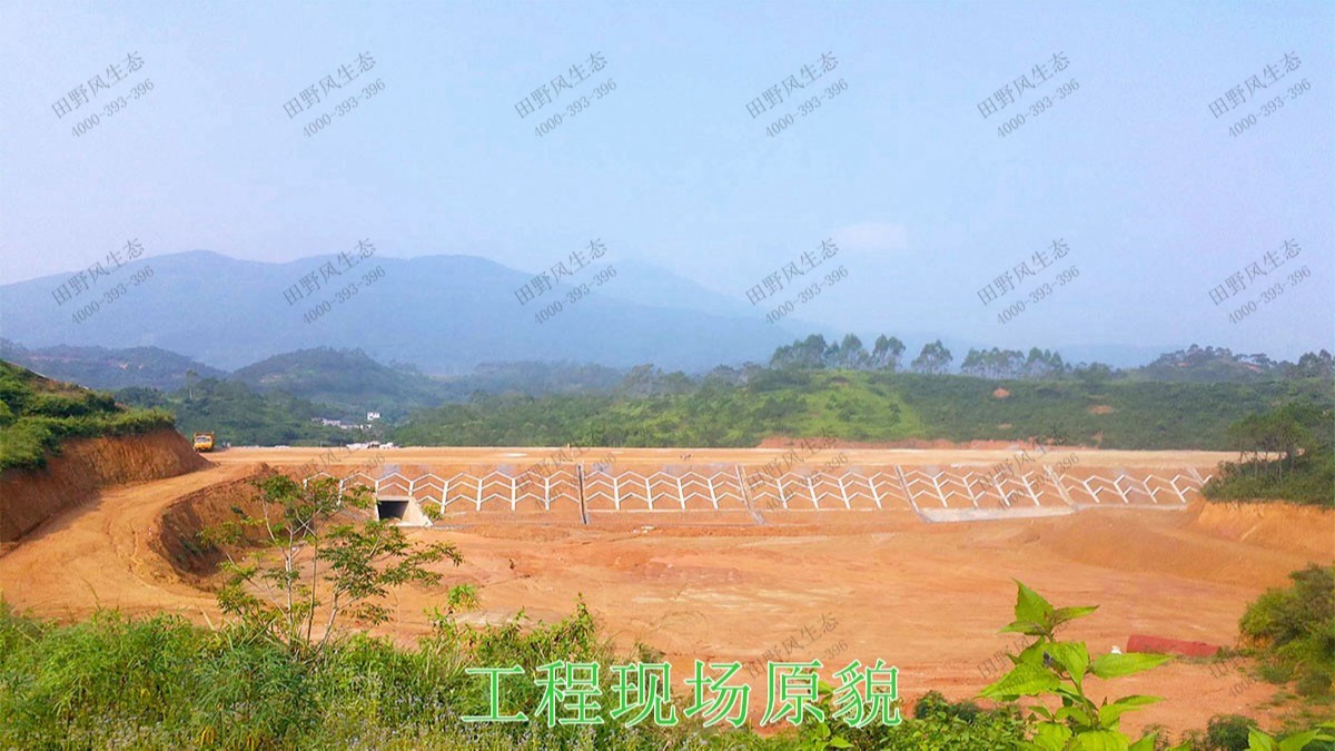 包茂高速茂名段高速公路边坡复绿