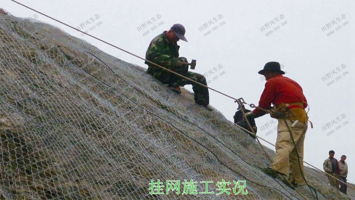 包茂高速茂名段高速公路边坡复绿