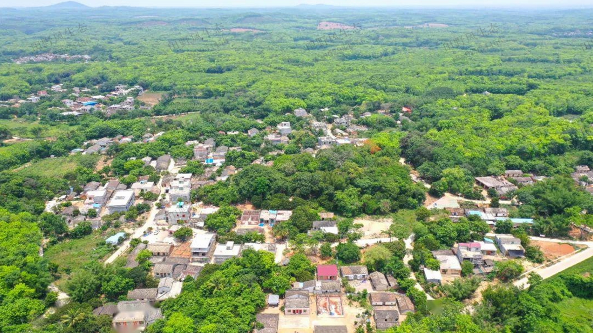 儋州市绿化状况