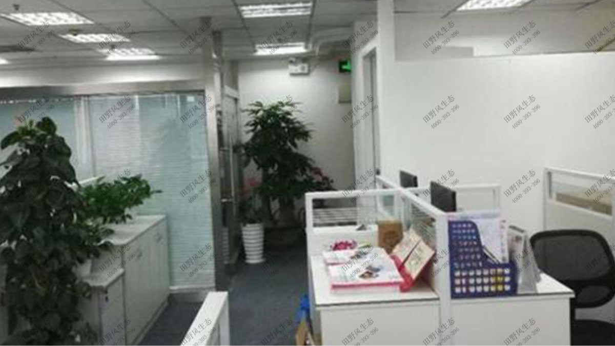 广州金利来大厦办公室花卉植物租赁案例