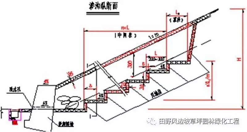 微信图片_20200603082741