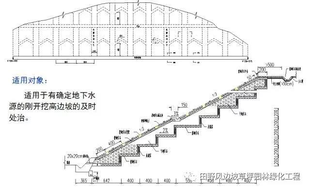 微信图片_20200603082748