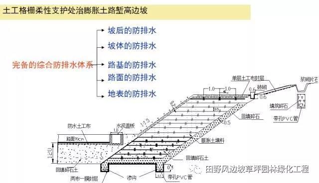 微信图片_20200603082808