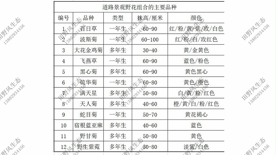 花卉种子购买