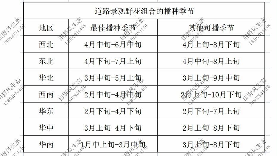 花卉种子批发