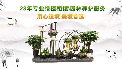 花卉租赁服务订购