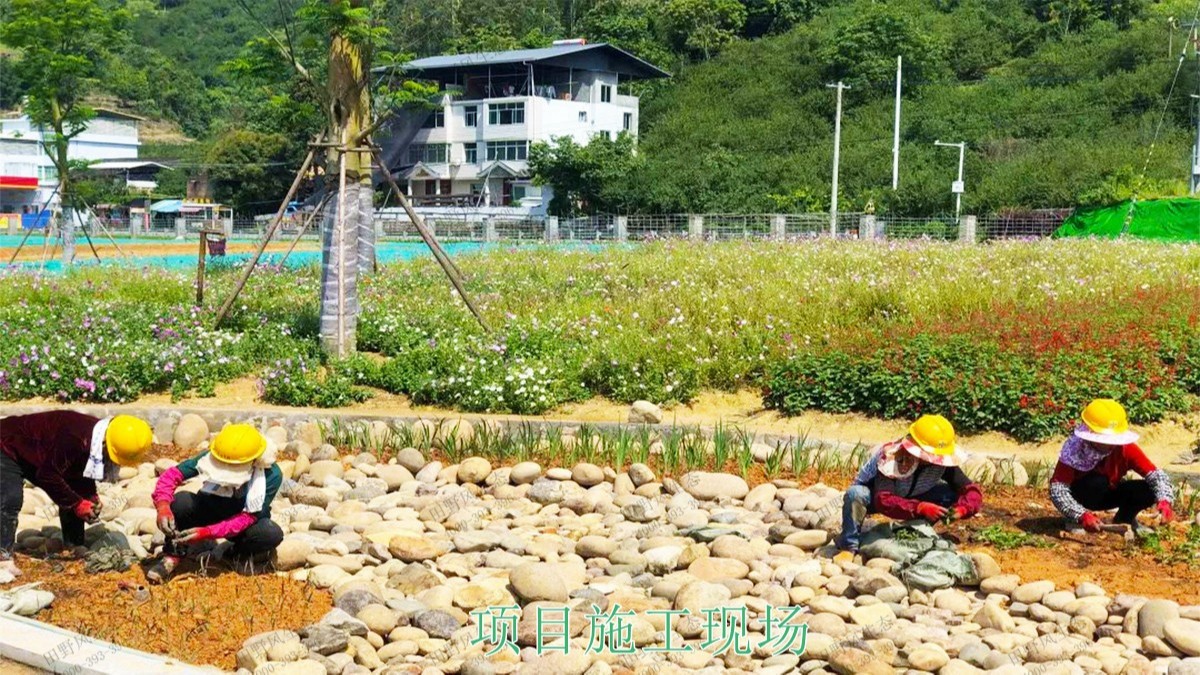 江西瑞昌市景区花海工程