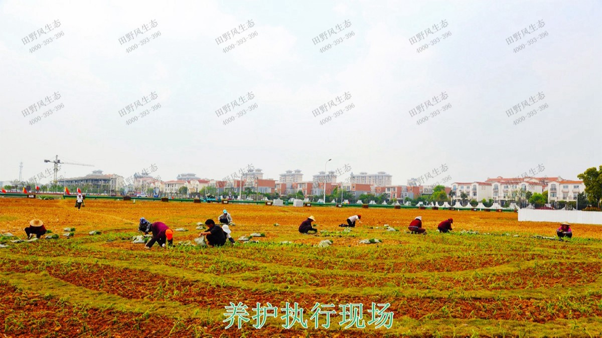 江西瑞昌市景区花海工程