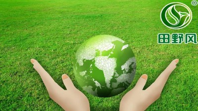 基本环境保护草毯-园林绿化