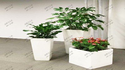 机关单位简约创意景观