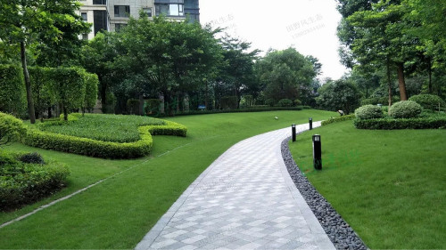 小区绿化草坪养护管理方案
