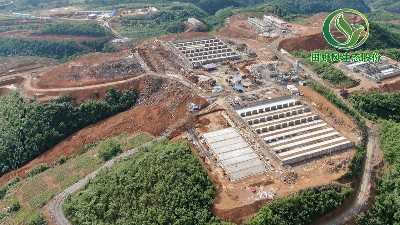 田野风贵定厂区复绿工程实况展示