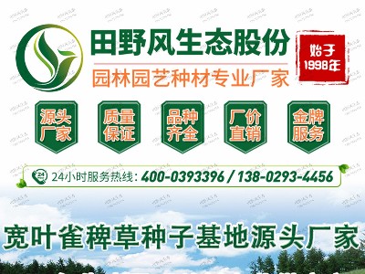 宽叶雀稗草种子基地源头厂家
