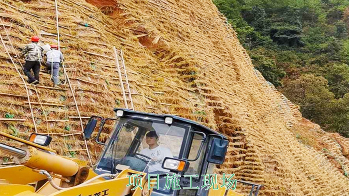 广东省高州市山体滑坡边坡复绿