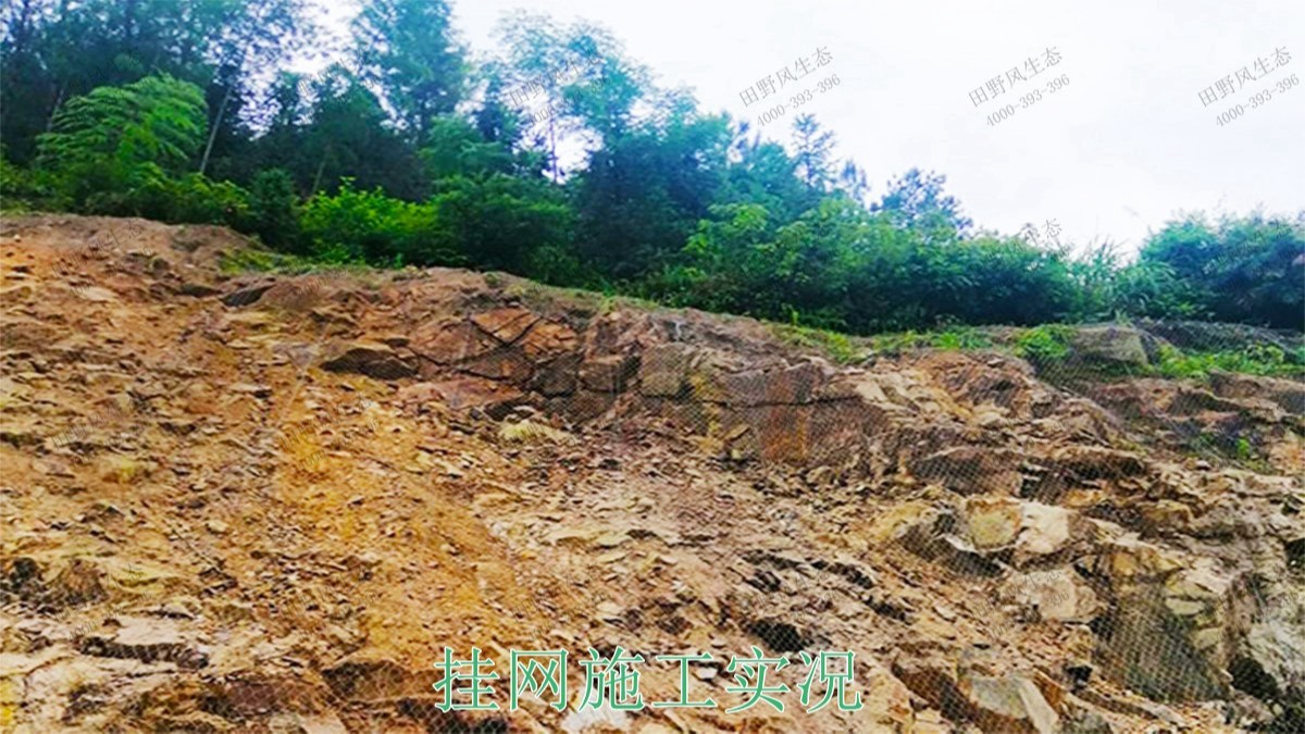 广西梧州山体滑坡地灾边坡绿化