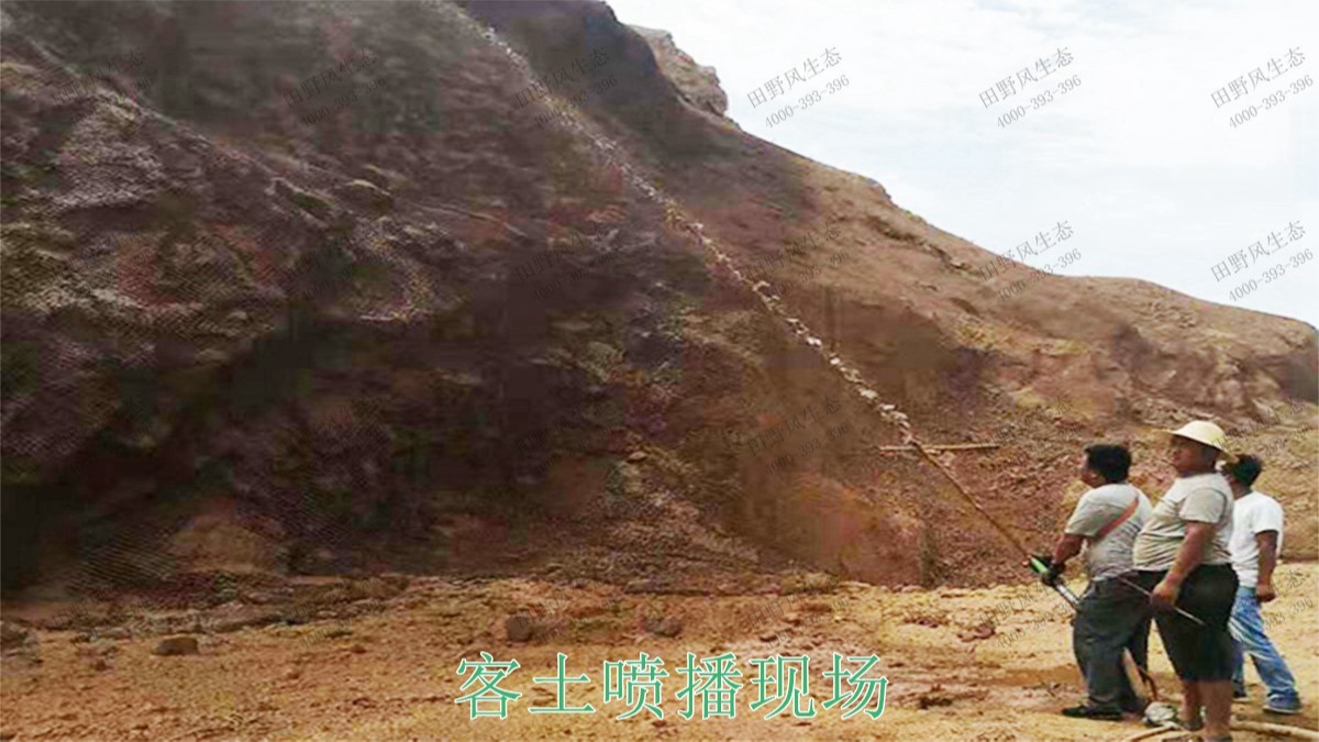 广西梧州山体滑坡地灾边坡绿化