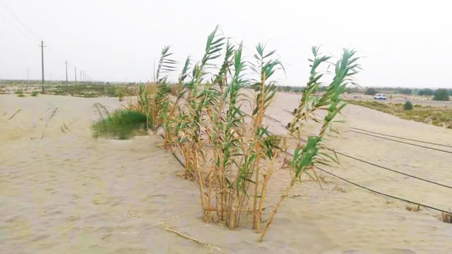 微信图片_20200715085628 微信图片_20200715085628