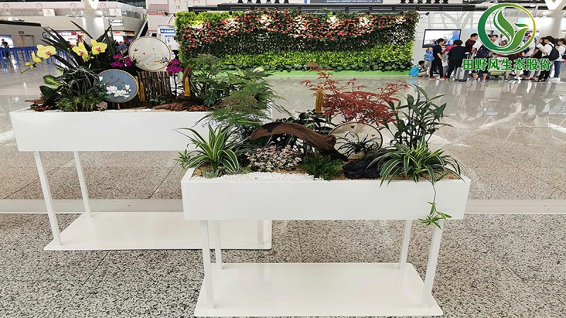 花卉租摆,租摆场景设计