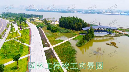 广东珠海斗门美化绿化市政工程