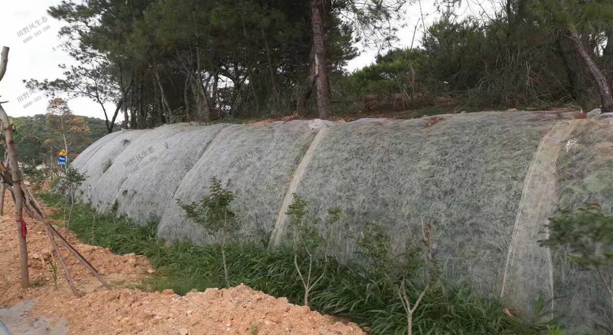 生态袋种草