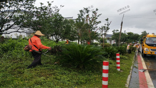 道路花草树木绿化养护服务项目