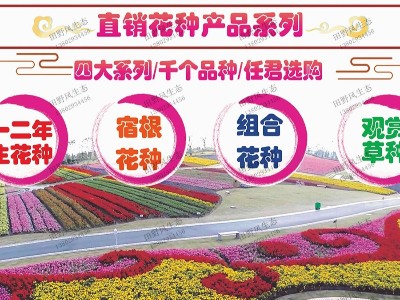 草种子花卉种子资材销售业务
