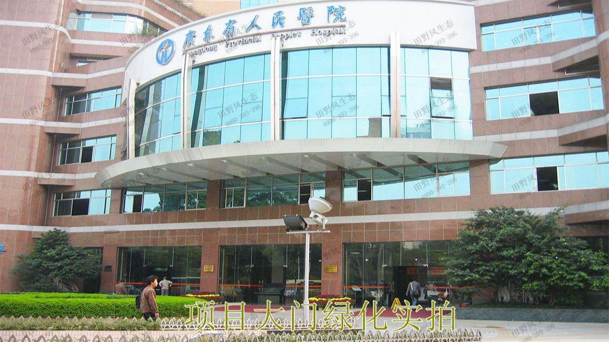 广东省人民医院绿植租摆合作案例展示