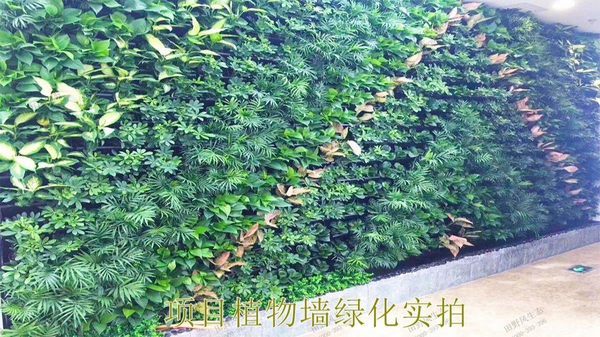 广东省人民医院绿植租摆合作案例展示