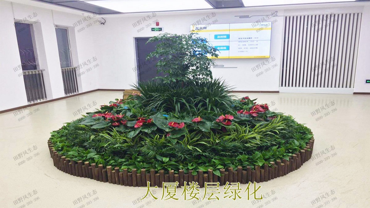 广州市东泰化工有限公司绿植租赁案例