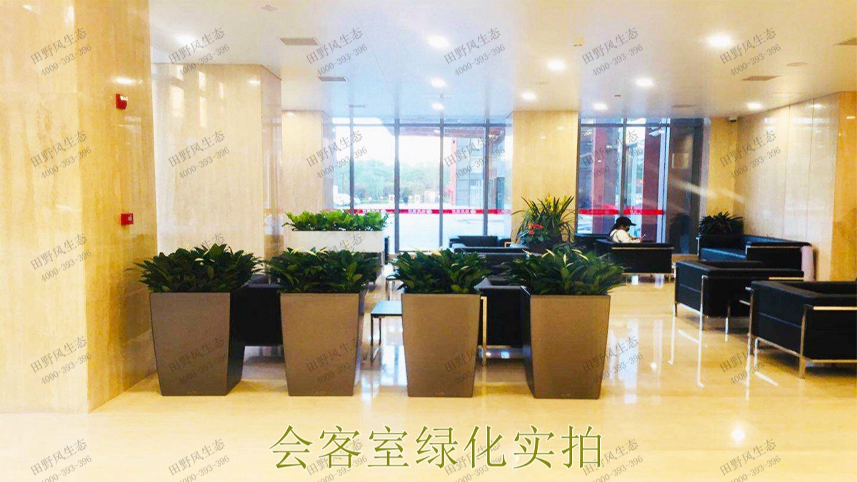 无限极绿植花卉景观租赁案例展示