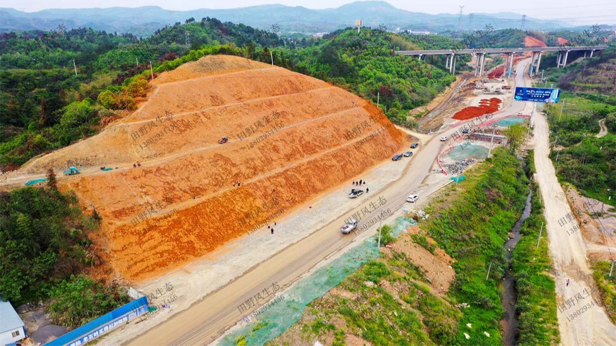 汕湛高速普宁段高速公路边坡植草