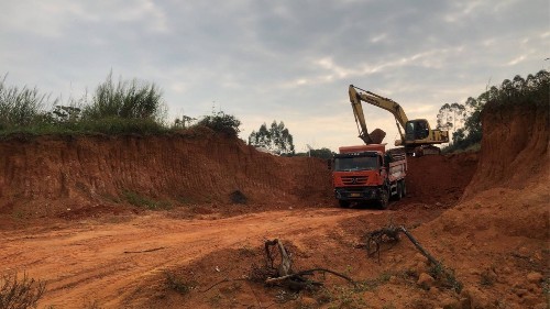 广东中山火炬新区道路边坡复绿工程