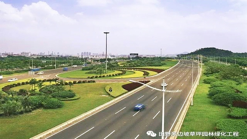道路护坡绿化