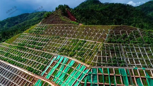 揭惠高速揭阳段高速公路边坡复绿工程