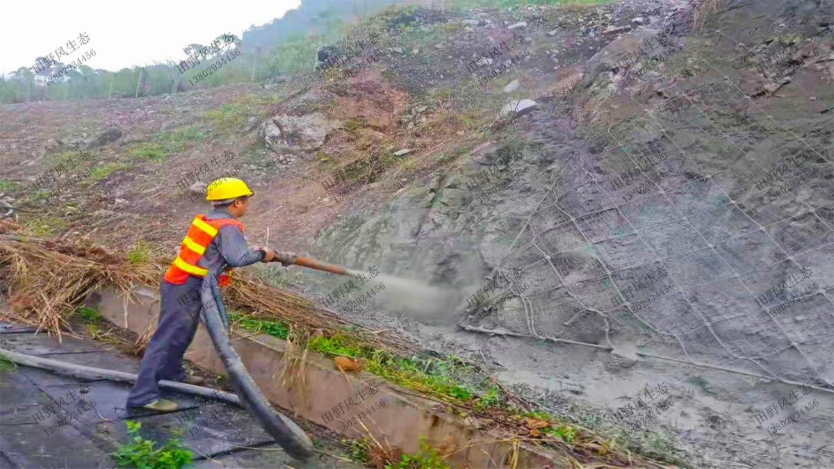 揭惠高速揭阳段高速公路边坡复绿工程