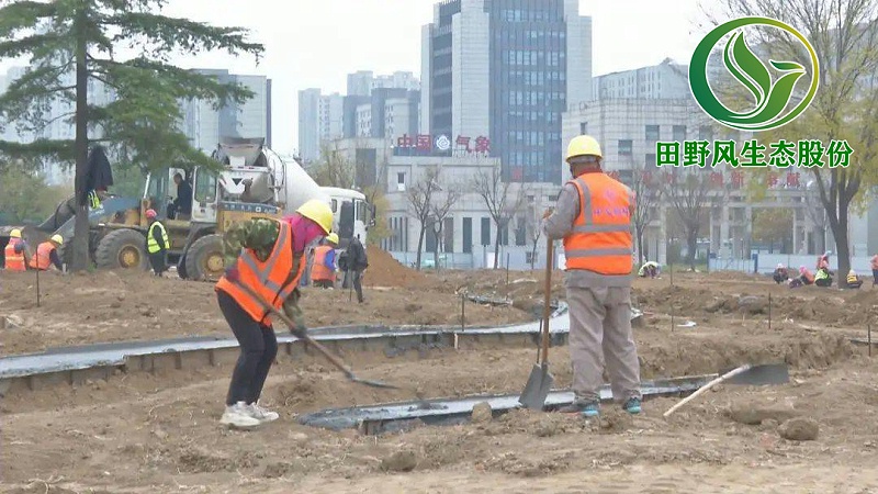 园林绿化，景观绿化