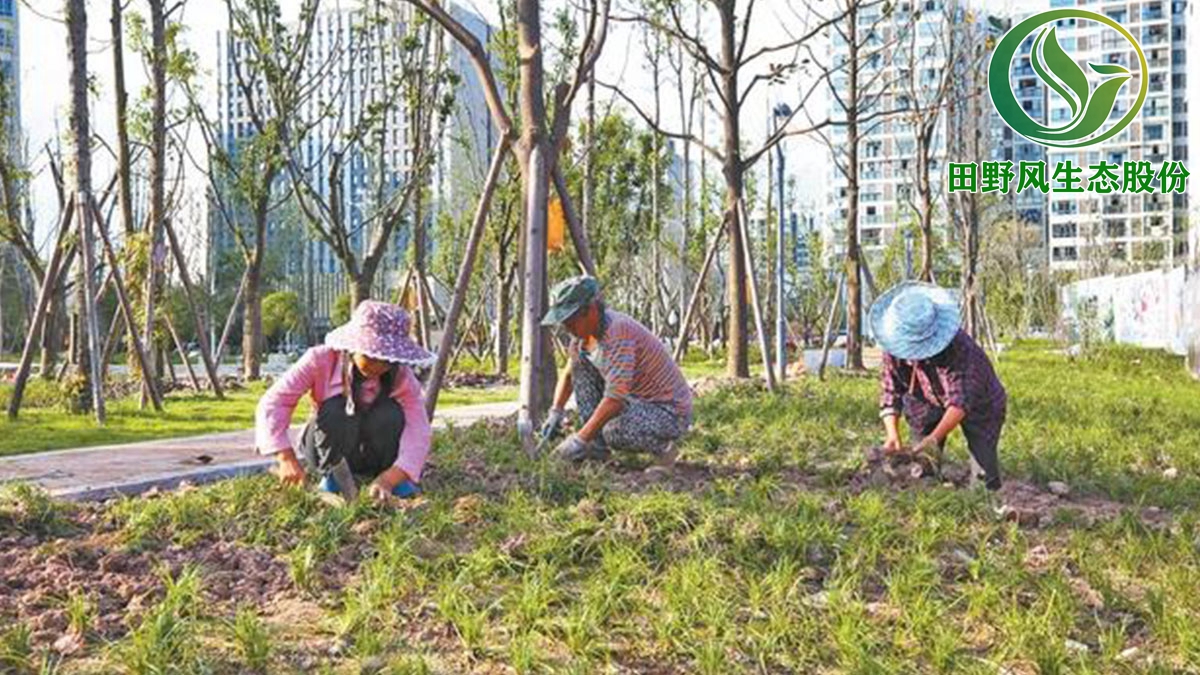 广州绿化养护,园林绿化