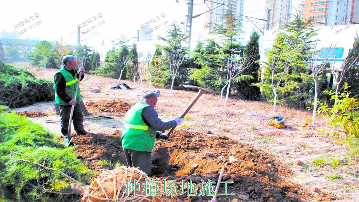 仁化县董塘河道生态治理工程