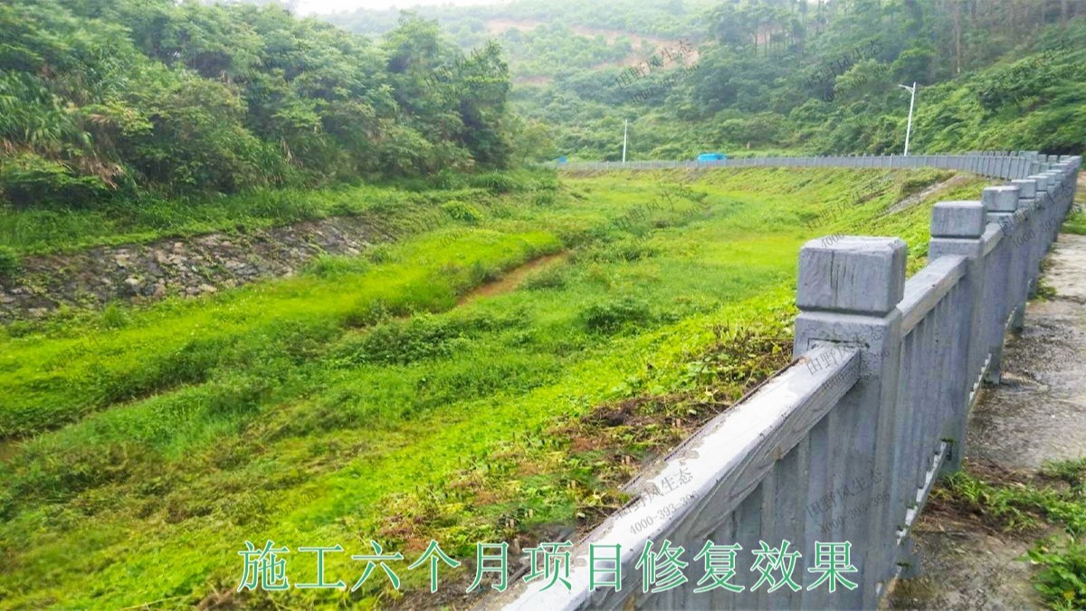 仁化县董塘河道生态治理工程