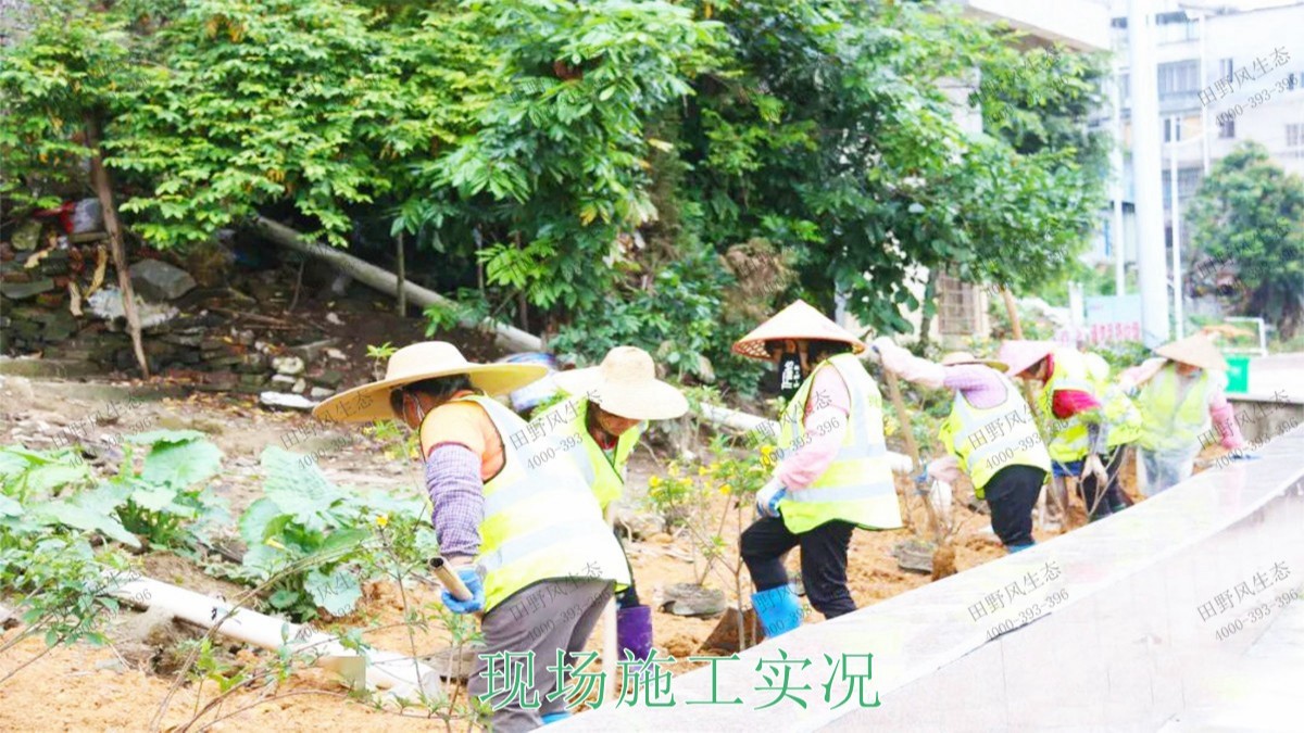 清城区银盏河道生态治理工程