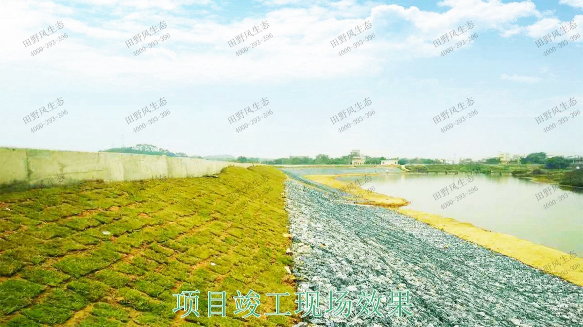 清城区银盏河道生态治理工程